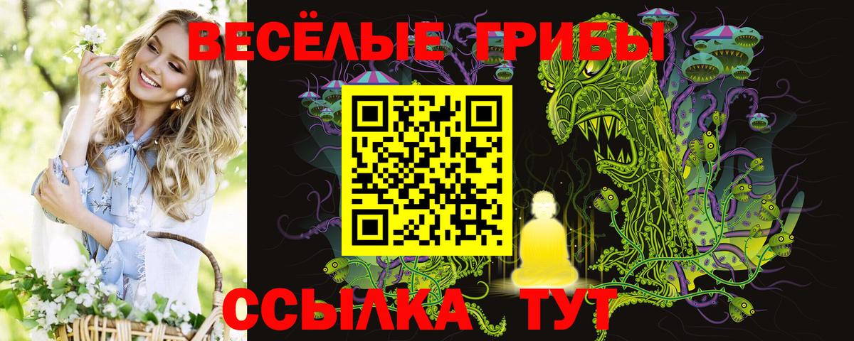 Псилоцибиновые грибы мухоморы Азнакаево