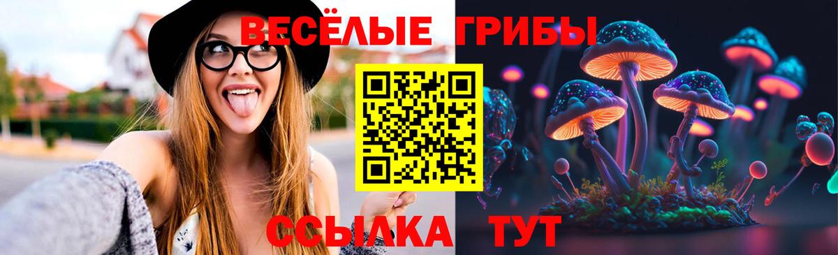 Азнакаево  Галлюциногенные грибы Cubensis  Вход с VPN 